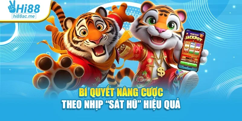 Bí quyết nâng cược theo nhịp “sát hũ” hiệu quả