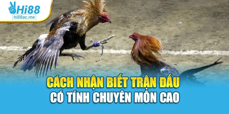 Cách nhận biết trận đấu có tính chuyên môn cao