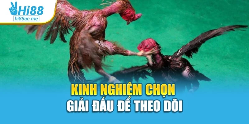 Kinh nghiệm chọn giải đấu để theo dõi
