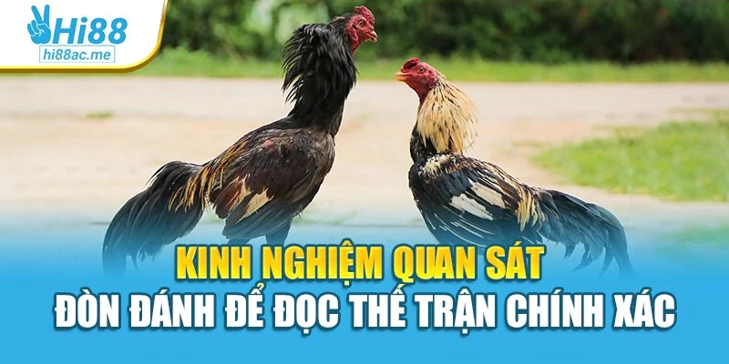 Kinh nghiệm quan sát đòn đánh để đọc thế trận chính xác