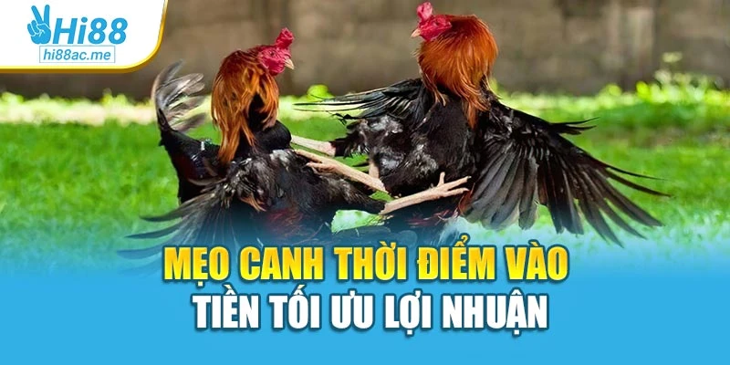 Mẹo canh thời điểm vào tiền tối ưu lợi nhuận