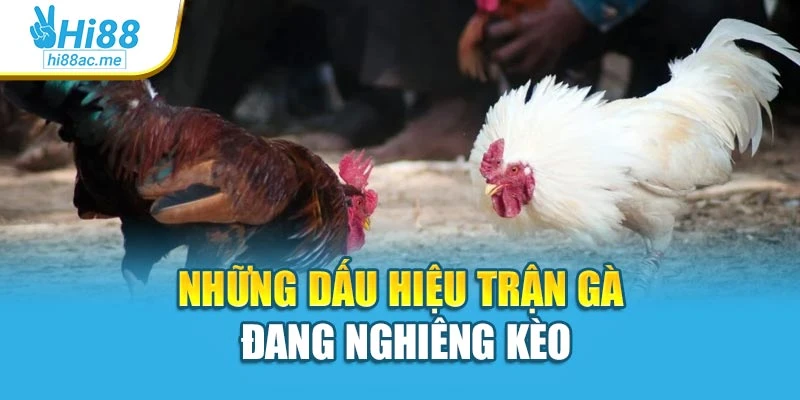 Đá Gà Cựa Sắt Đỉnh Cao Tốc Chiến Khi Cá Cược Tại Hi88 3 Những dấu hiệu trận gà đang nghiêng kèo